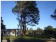 799 Medowie Road, Medowie NSW 2318