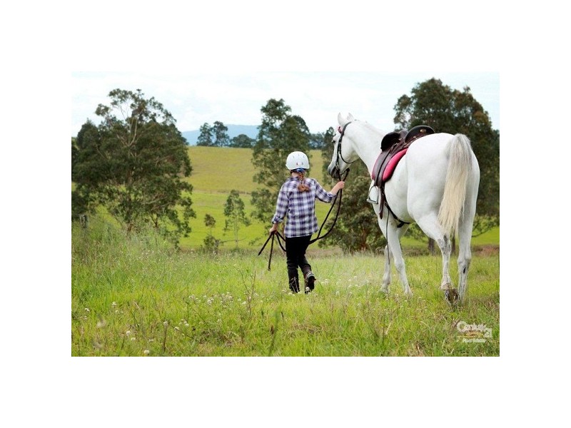 Lot 15 Boatfalls, Limeburners Creek Road, Clarence Town NSW 2321