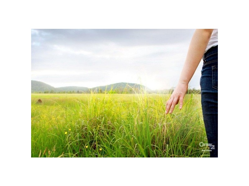 Lot 3 Boatfalls, Limeburners Creek Road, Clarence Town NSW 2321