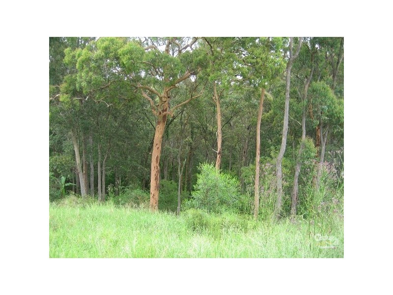 New Lambton Heights NSW 2305