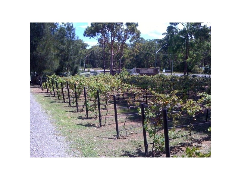 1 Kindlebark Drive, Medowie NSW 2318