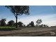 Lot 7 Portabella Close, Thornton NSW 2322