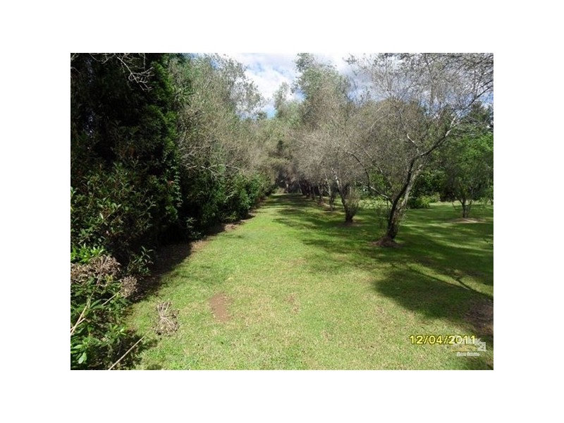 3 Kingfisher Close, Medowie NSW 2318