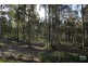 186 Parish Drive, Thornton NSW 2322