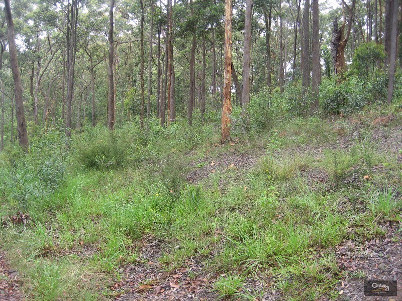 Lot 17 Grandvalley Way, New Lambton Heights NSW 2305