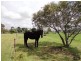 240 Scotch Creek Road, Millers Forest NSW 2324