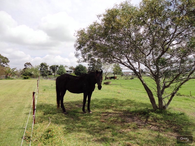 240 Scotch Creek Road, Millers Forest NSW 2324