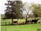 240 Scotch Creek Road, Millers Forest NSW 2324