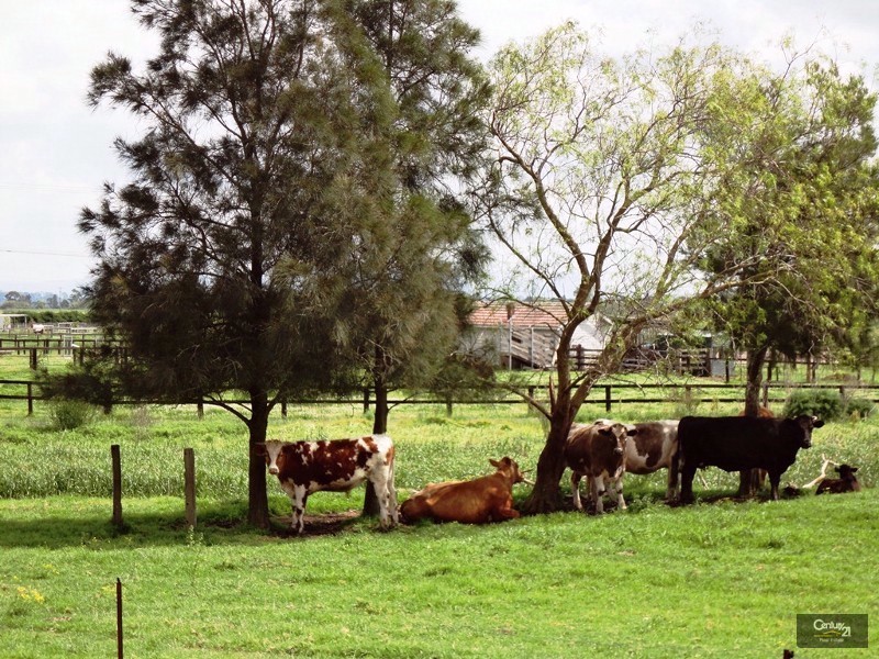 240 Scotch Creek Road, Millers Forest NSW 2324