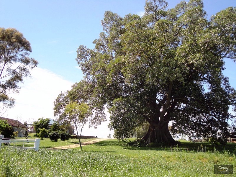 240 Scotch Creek Road, Millers Forest NSW 2324