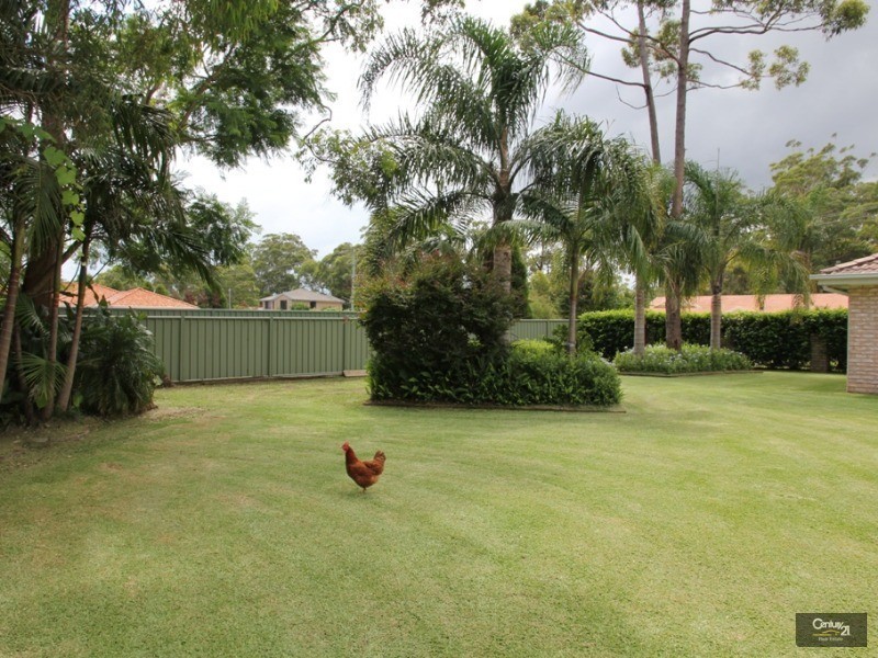 46 Sylvan Avenue, Medowie NSW 2318