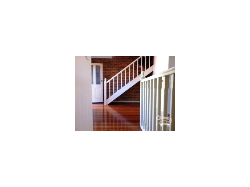 41 Gibson Street, Cooks Hill NSW 2300