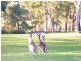 1 St Andrews Parkway, Medowie NSW 2318