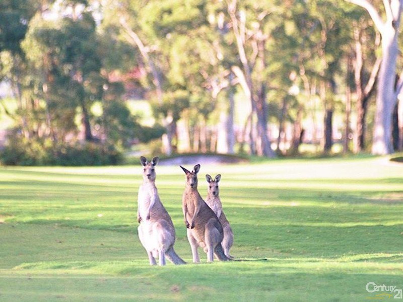 1 St Andrews Parkway, Medowie NSW 2318