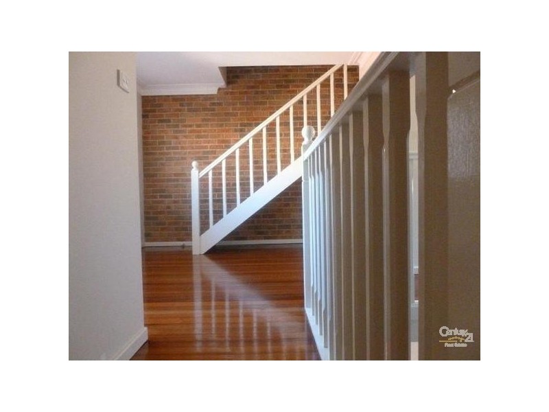 41 Gibson Street, Cooks Hill NSW 2300