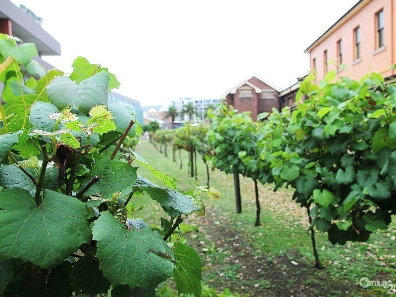 404/4 Honeysuckle Drive, Newcastle NSW 2300