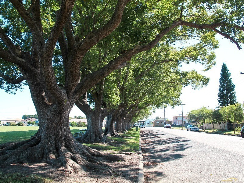 7 Thorn Road, Hamilton North NSW 2292