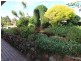 51 Decora Crescent, Warabrook NSW 2304
