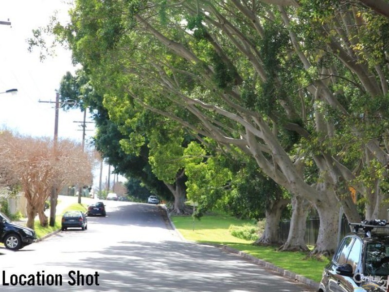 3 Kings Road, Tighes Hill NSW 2297