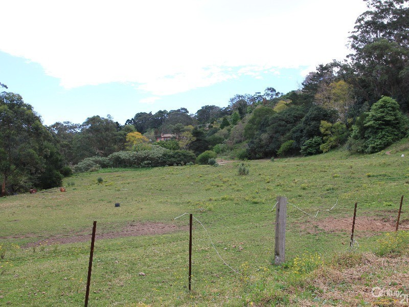 80A Marshall Street, Garden Suburb NSW 2289