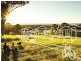 Lot 231 Dragonfly Drive, Chisholm NSW 2322
