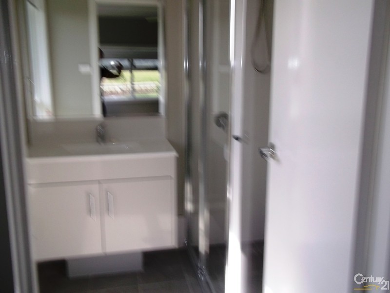 17 Dove Street, Aberglasslyn NSW 2320