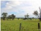 27 Radiant Avenue, Largs NSW 2320