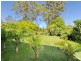 44 Armadale Avenue, Nelson Bay NSW 2315