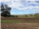 Lot 434 Panorama Close, Fletcher NSW 2287