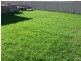 5 Campden, Thornton NSW 2322
