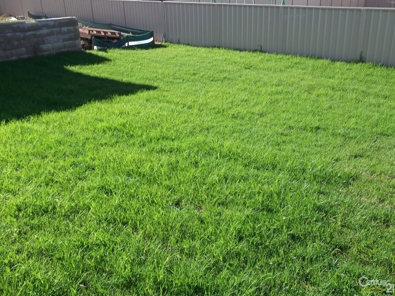 5 Campden, Thornton NSW 2322
