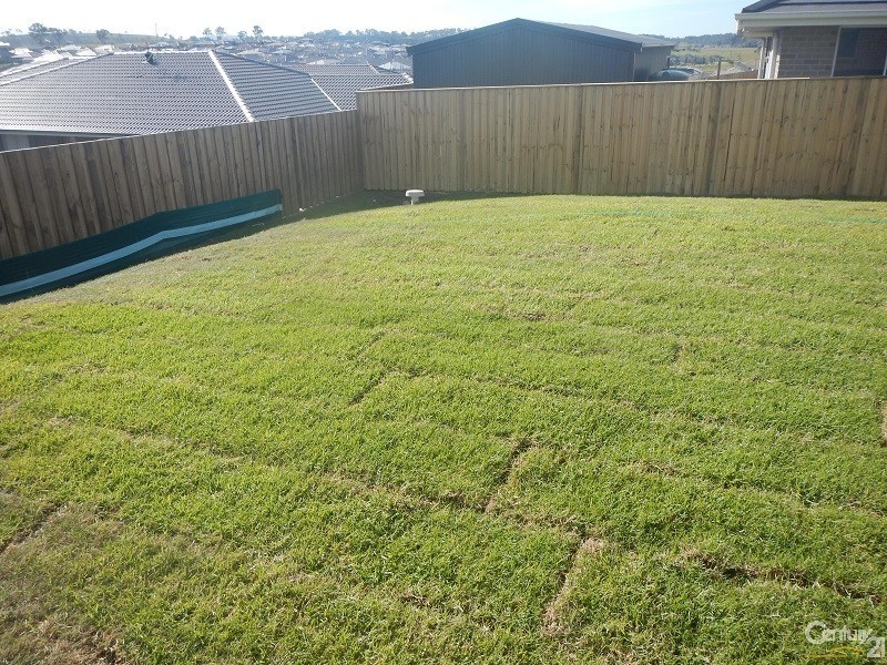 5 Babbler Way, Aberglasslyn NSW 2320