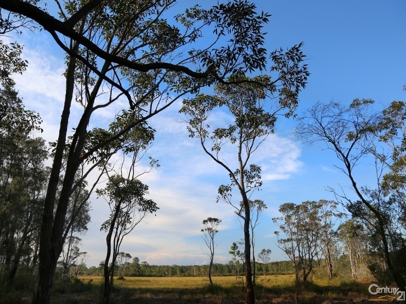 161 Lemon Tree Passage Road, Salt Ash NSW 2318