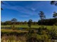 18 Sunningdale Circuit, Medowie NSW 2318