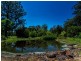 61 Abundance Road, Medowie NSW 2318