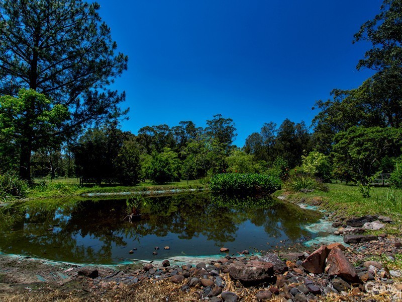 61 Abundance Road, Medowie NSW 2318