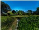 61 Abundance Road, Medowie NSW 2318