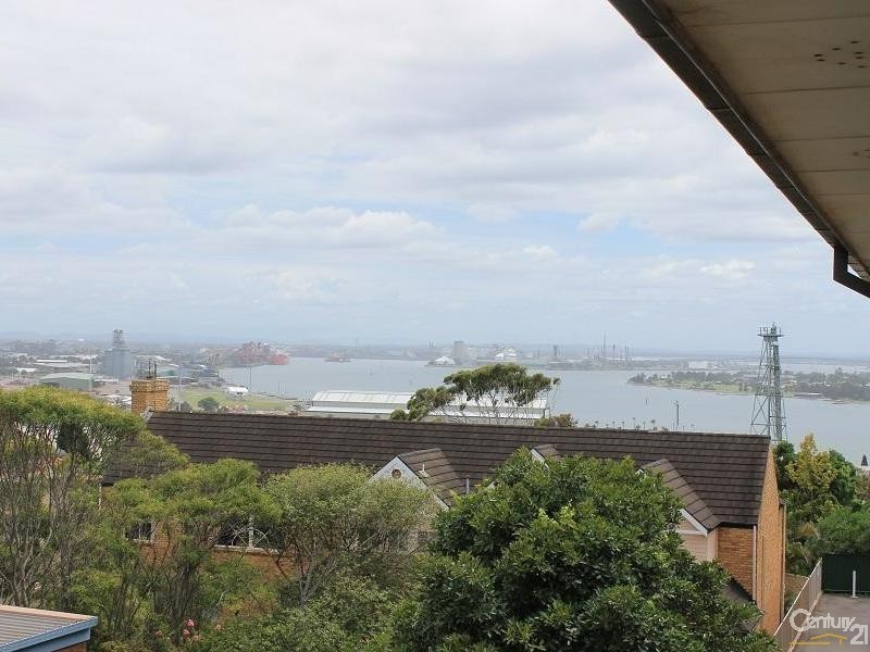 5/88 Tyrrell Street, The Hill NSW 2300