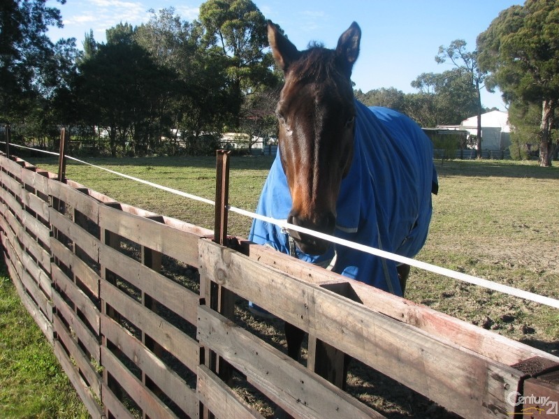 18 Croudace Street, Edgeworth NSW 2285