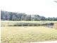 9 Medinah Point, Medowie NSW 2318