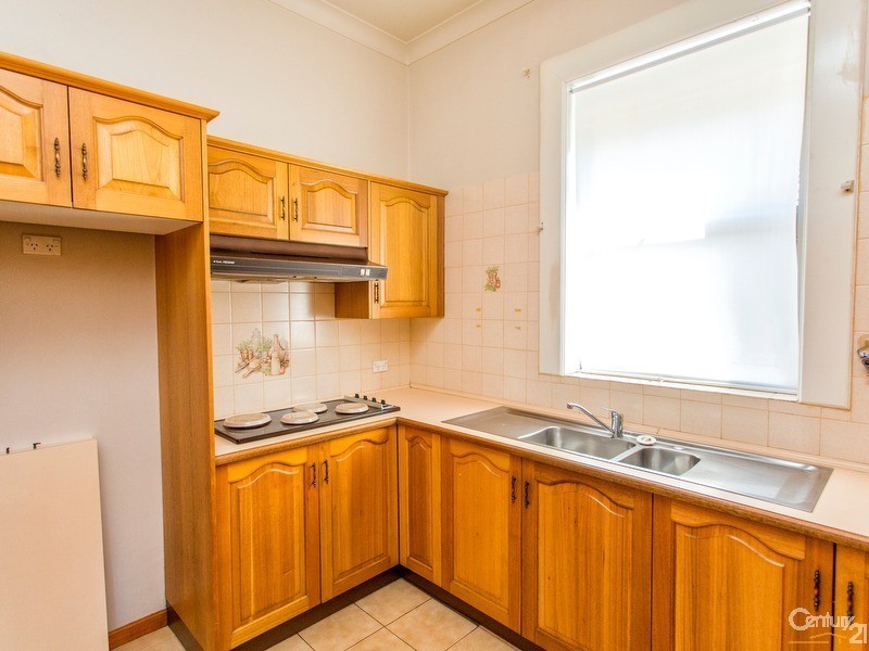 17 Gregson Avenue, Mayfield West NSW 2304