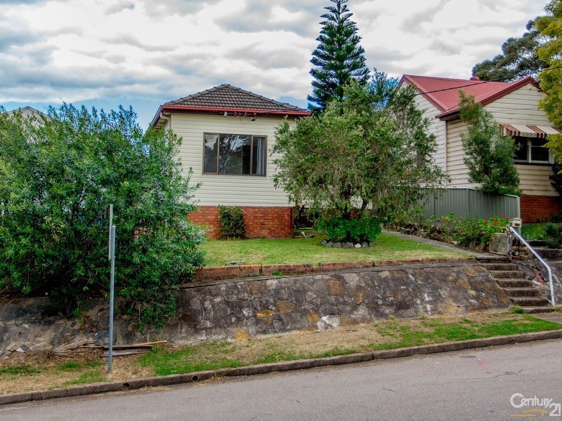 113 Woodstock Street, Mayfield NSW 2304