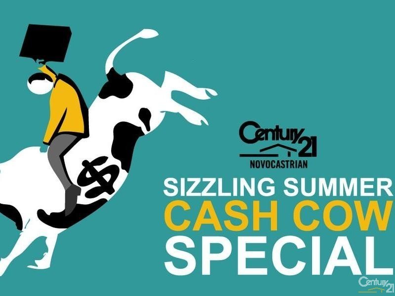 7 Lester Parade, North Lambton NSW 2299