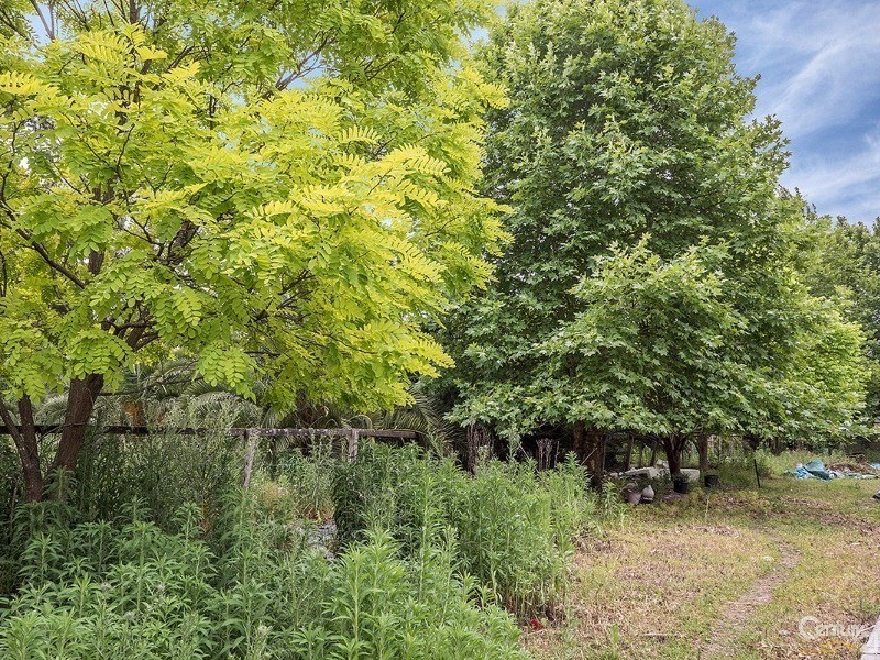 33 Cracknell Lane, Maitland NSW 2320
