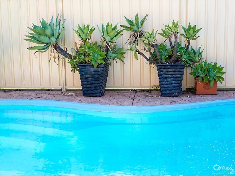 11 Jabiru Avenue, Maryland NSW 2287