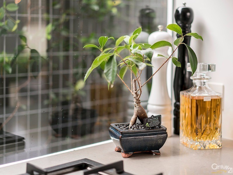 2 Annie Street, Wickham NSW 2293