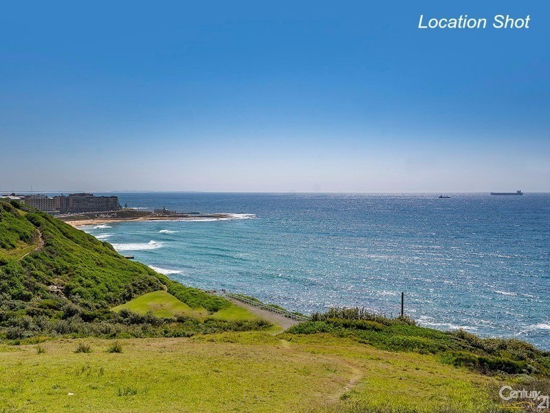 12/17 Hillview Crescent, The Hill NSW 2300