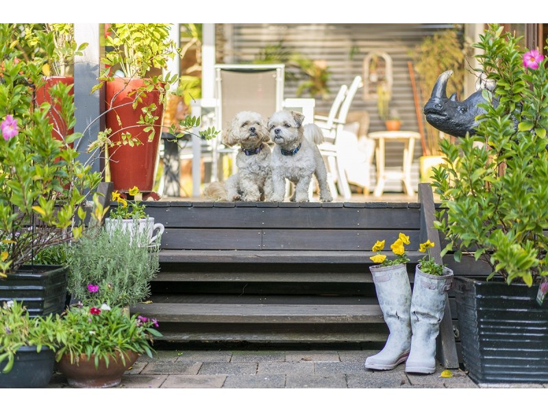 162 Kemp Street, Hamilton South NSW 2303