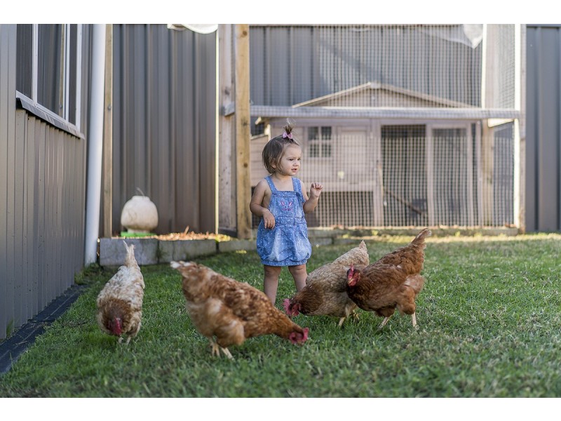 31 Cardiff Road, Wallsend NSW 2287