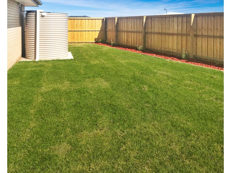 5 Snipe Street, Fletcher NSW 2287